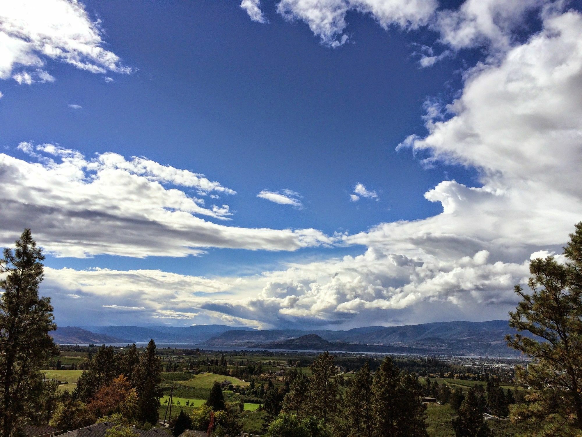 Acker Vacation Rentals Kelowna Eksteriør bilde